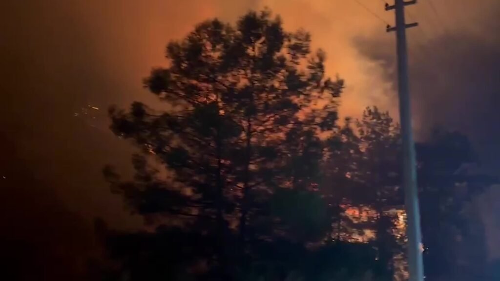 Antalya Büyükşehir Belediyesi Başkan Vekili Özdemir yangın bölgesinde