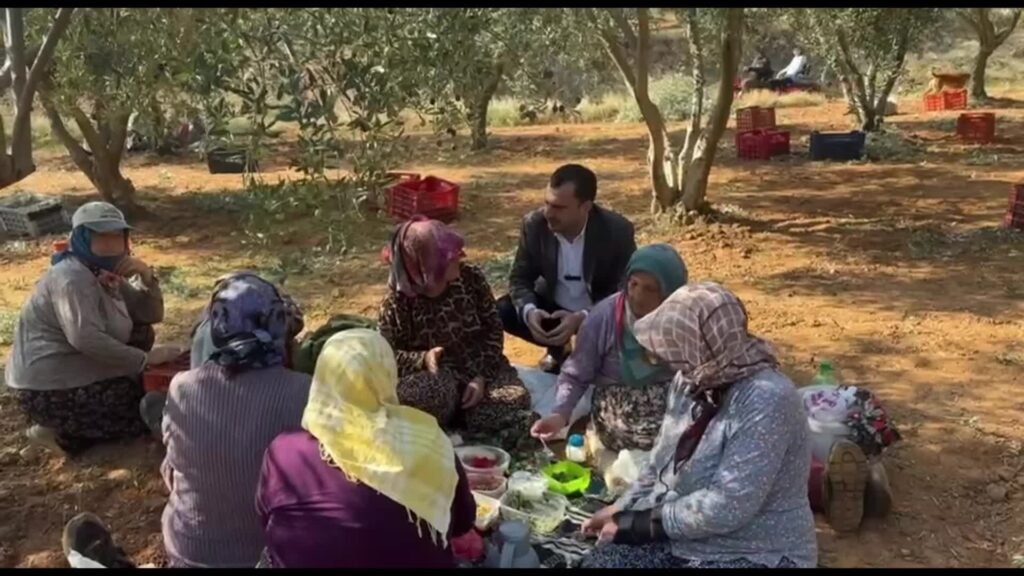 Zeytin üreticileri CHP’li Başevirgen’e dert yandı: “Bu koşullarda para kazanmamızın mümkünatı yok”
