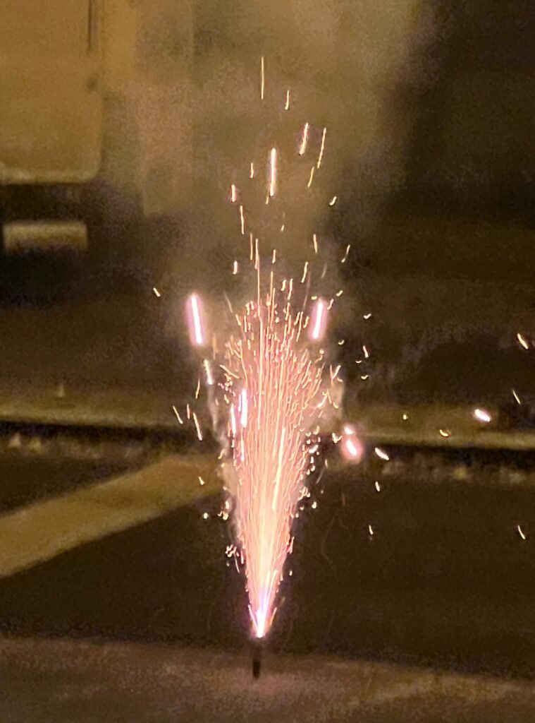 Almanya yeni yıla coşkulu kutlamalarla girdi