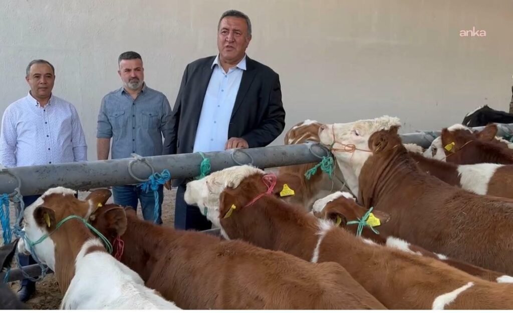CHP’li Gürer: “2025 yılının verileri gösteriyor ki hem hayvanda, hem de ithalatta patlama yaşanmış”