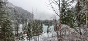 Almanya’da “Elli” fırtınasının ardından “Gunda” buzlanması kapıda