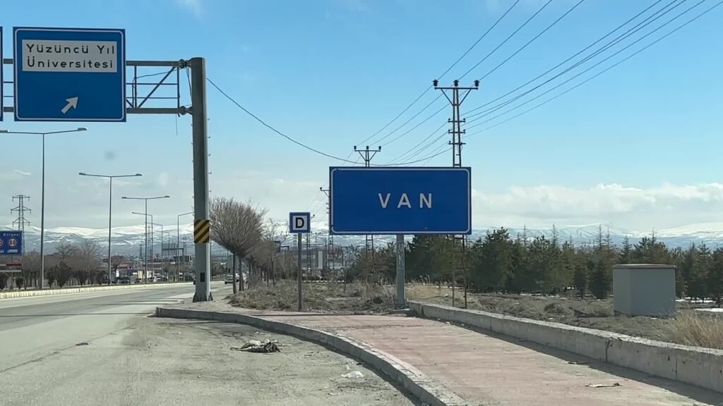 Van Kedisi sayısı artıyor, 2025 yılında 110 yavru dünyaya geldi