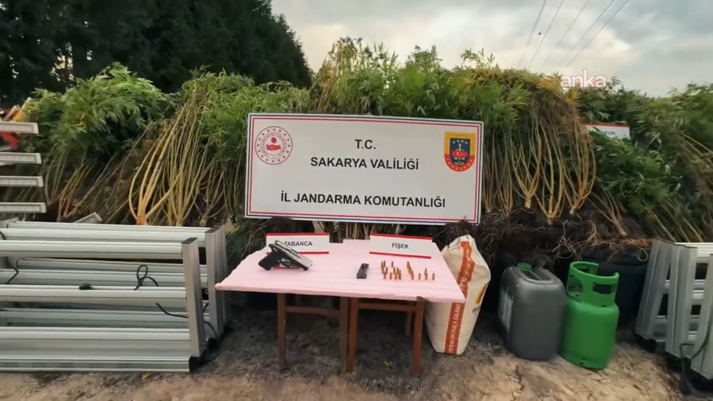 İçişler Bakanlığı: 30 ilde düzenlenen uyuşturucu operasyonlarında 392 şüpheli yakalandı