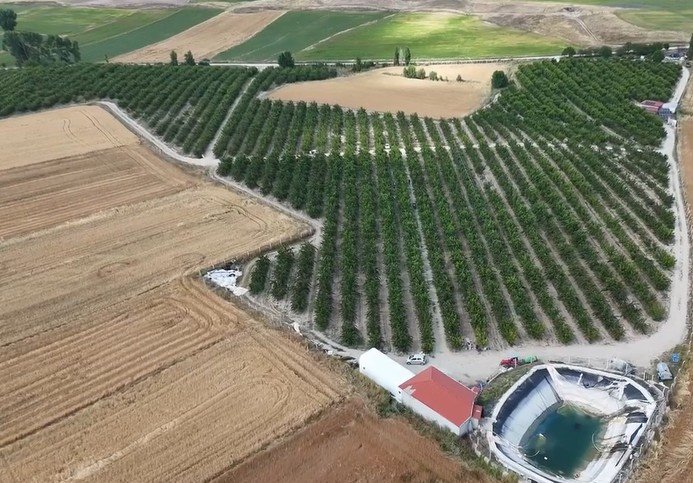 Yozgat’tan Avrupa’ya kiraz ihracatı