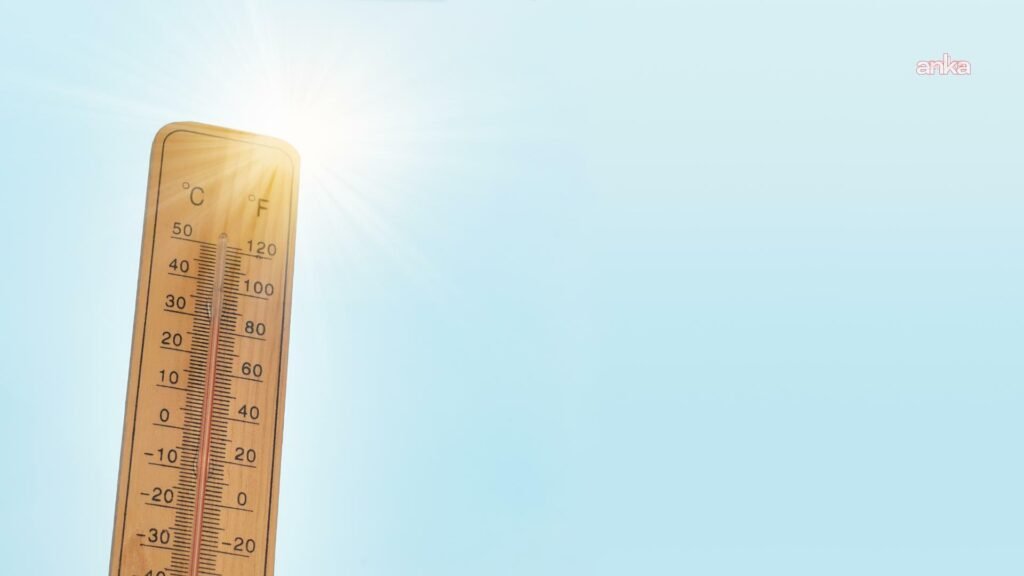 Almanya’da aşırı sıcaklar ekonomiye en az 36 milyar euro zarar verdi