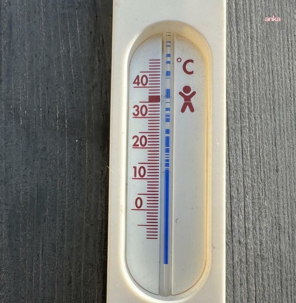 Almanya’da bu yıl sıcaklığa bağlı ölümlerin 9 bin 800’e ulaştığı tahmin ediliyor